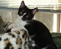 Baby Boo, photo 5