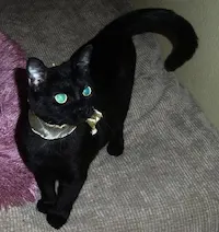 Annabelle, photo 1