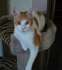 Rudy, photo 1