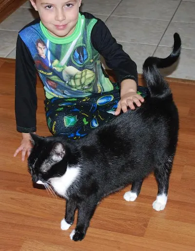 Bruce, adopted from Cats For Life Houston