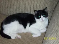 Hallie, photo 1