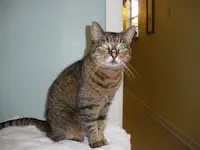 Paulette, photo 1